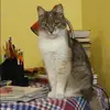 Отзыв от София Павлова